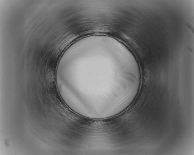 X0000102871169200809081159