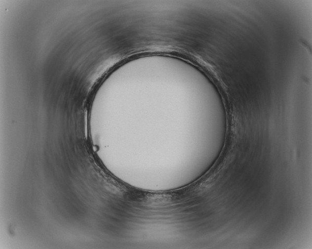 X0000102871171200809081159