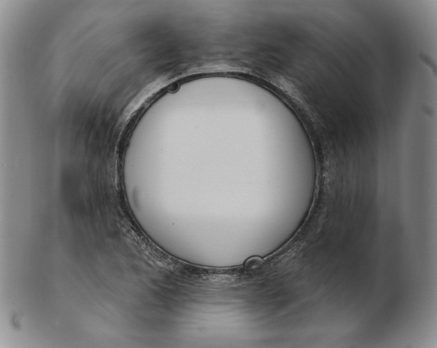 X0000102871173200809081159