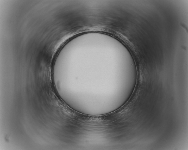 X0000102871174200809081159