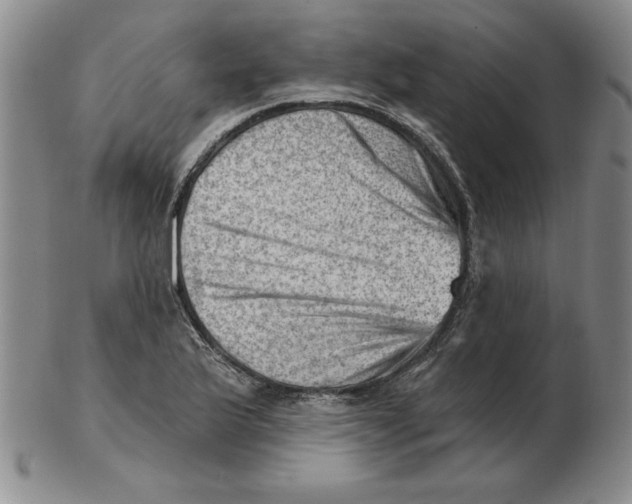 X0000102871175200809081159