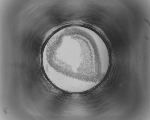 X0000102871176200809081159