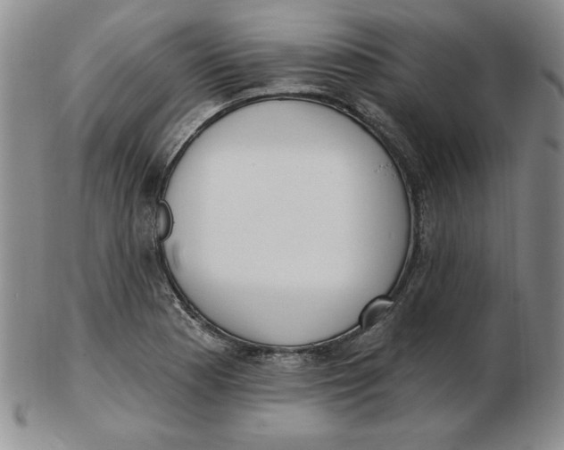 X0000102871177200809081159