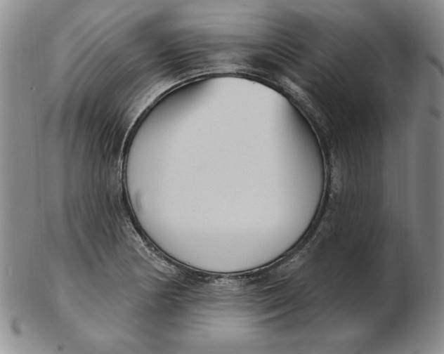 X0000102871178200809081159