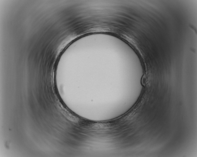 X0000102871179200809081159