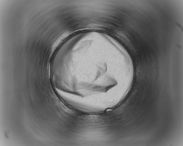 X0000102871180200809081159