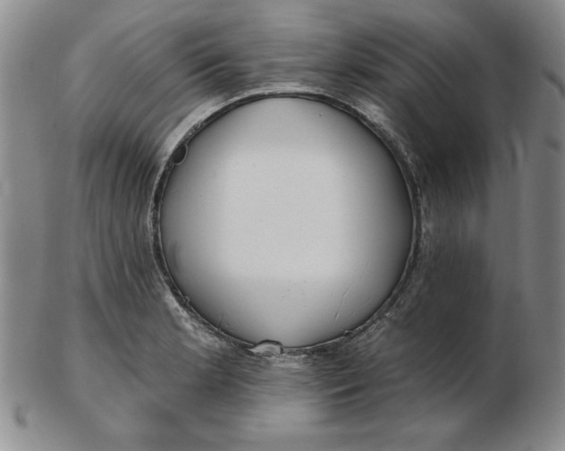 X0000102871181200809081159