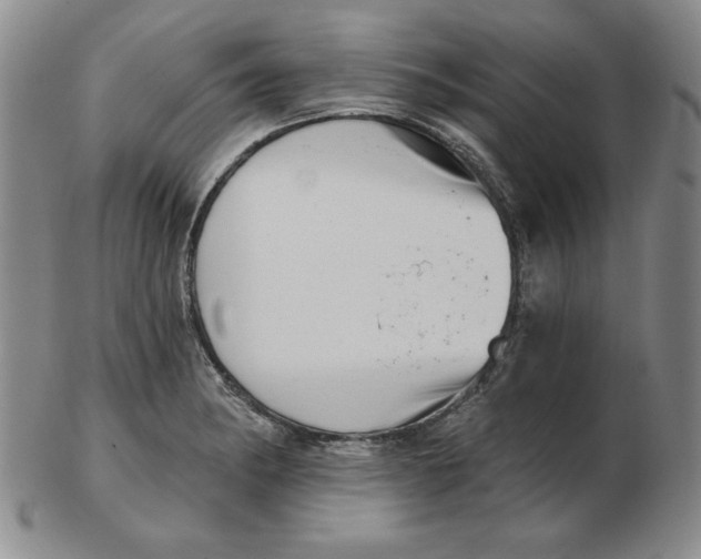 X0000102871182200809081159