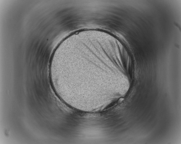 X0000102871183200809081159