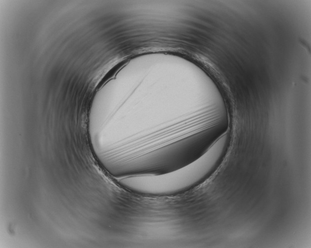 X0000102871185200809081159