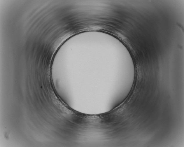 X0000102871186200809081159