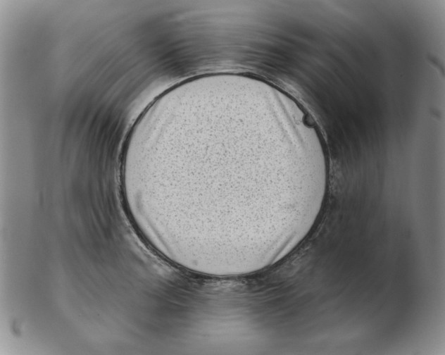 X0000102871187200809081159