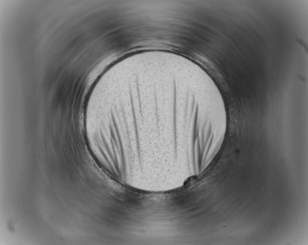 X0000102871188200809081158