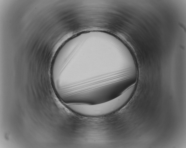 X0000102871189200809081158