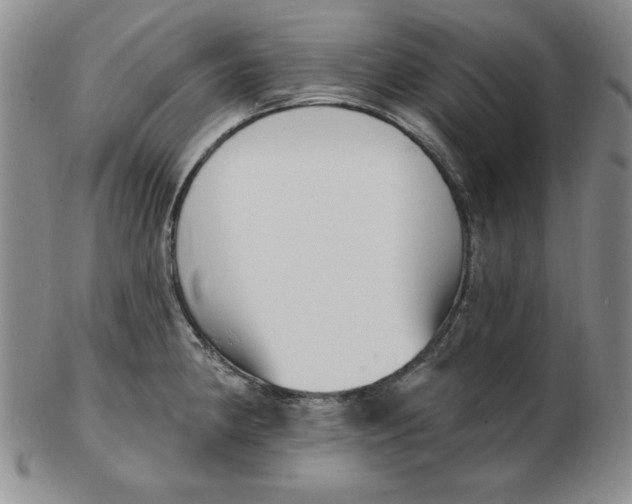 X0000102871190200809081158