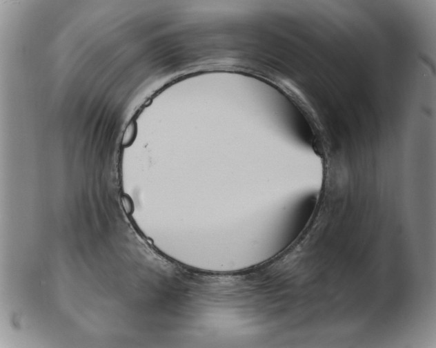 X0000102871192200809081158