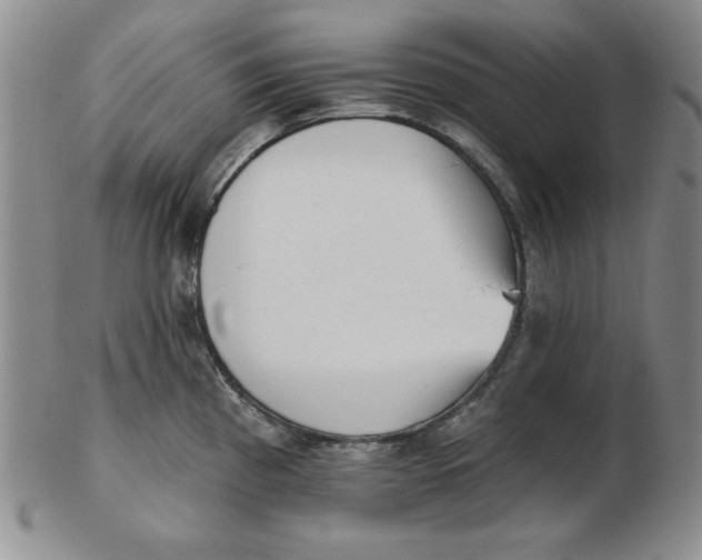 X0000102871193200809081158