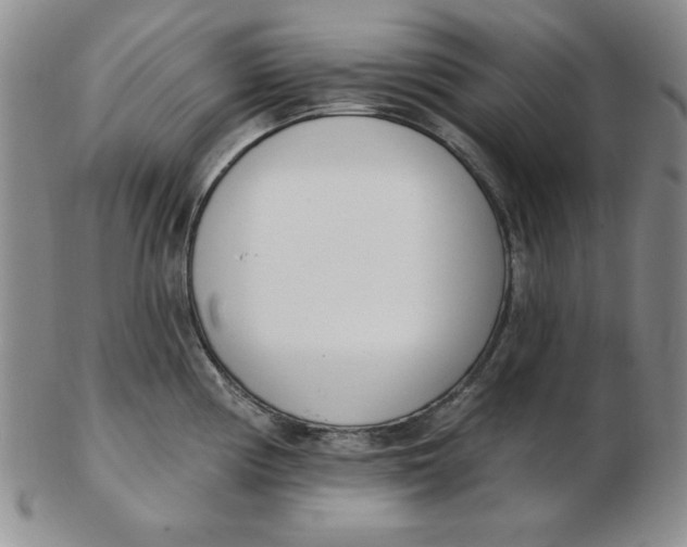 X0000102871194200809081158