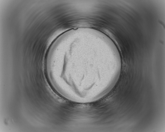 X0000102871195200809081158