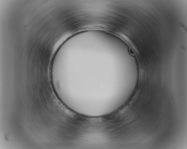 X0000102871196200809081158