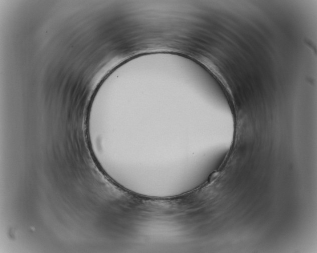 X0000102871197200809081158