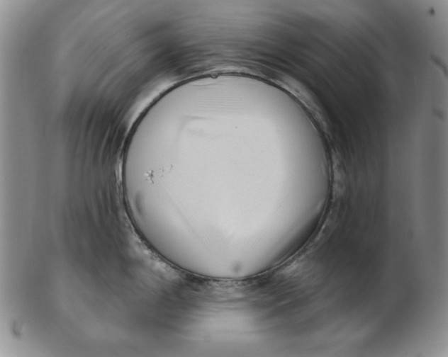 X0000102871198200809081158