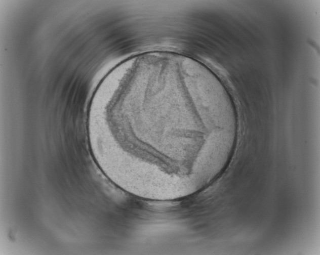 X0000102871200200809081158