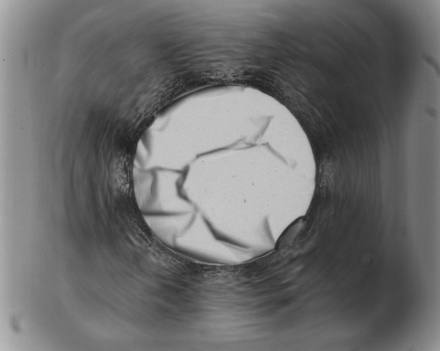 X0000102871202200809081158