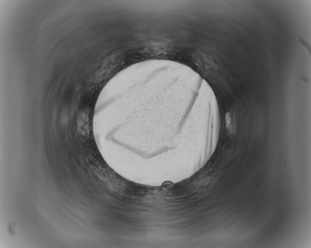 X0000102871203200809081158