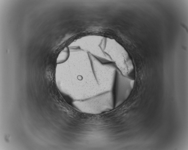 X0000102871206200809081158