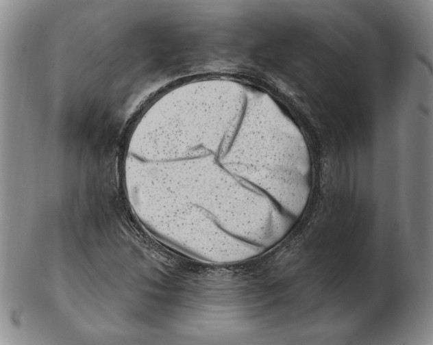 X0000102871214200809081158