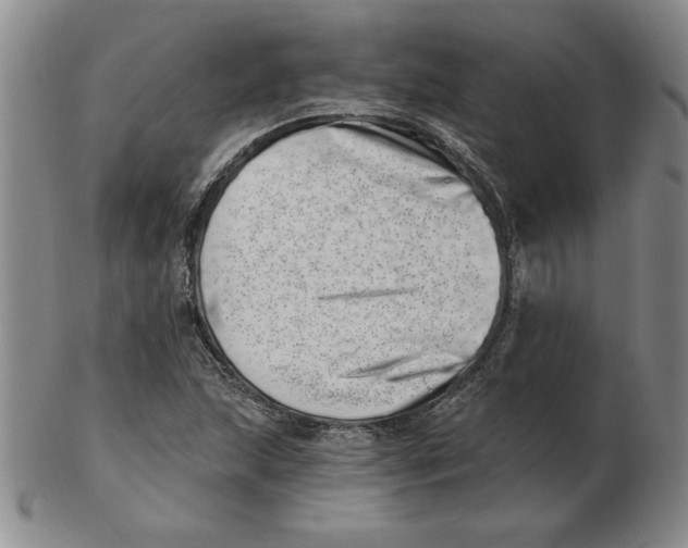 X0000102871215200809081158