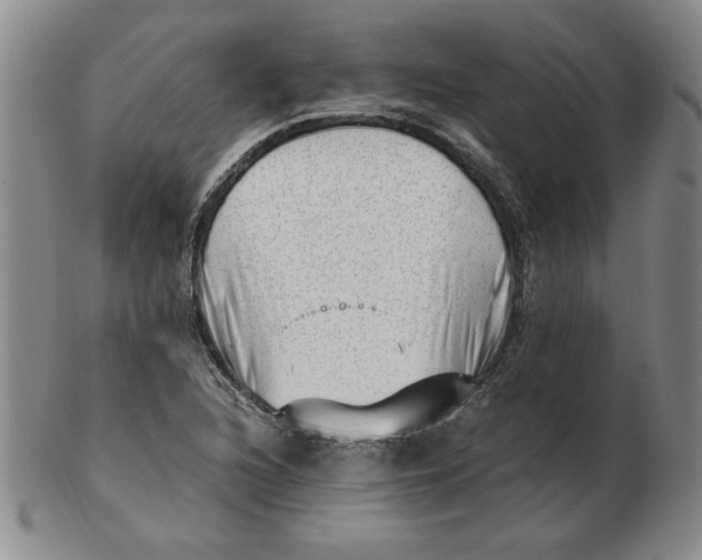 X0000102871216200809081158