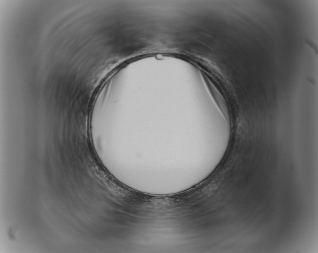 X0000102871220200809081158