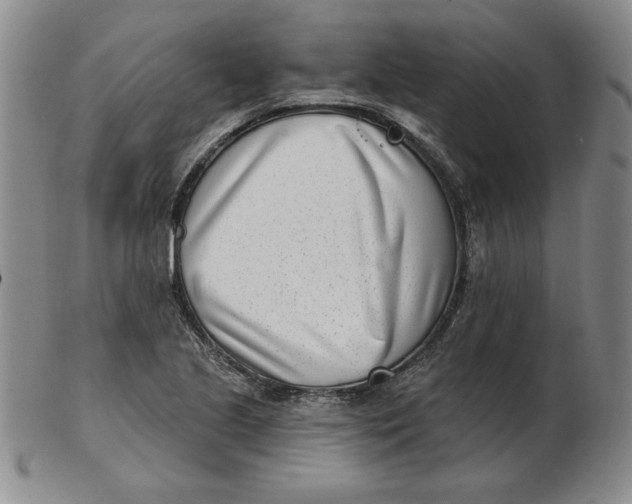 X0000102871221200809081158