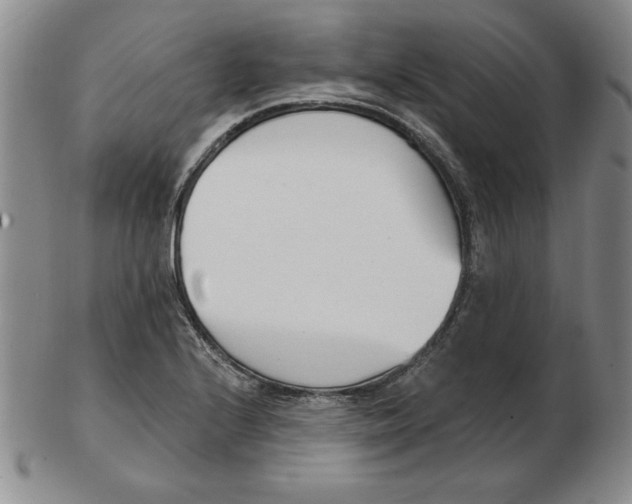 X0000102871224200809081158