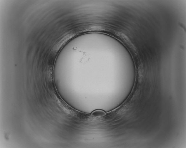 X0000102871225200809081158