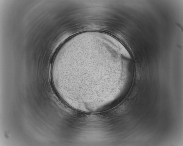 X0000102871227200809081158