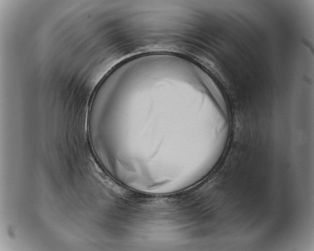 X0000102871228200809081158