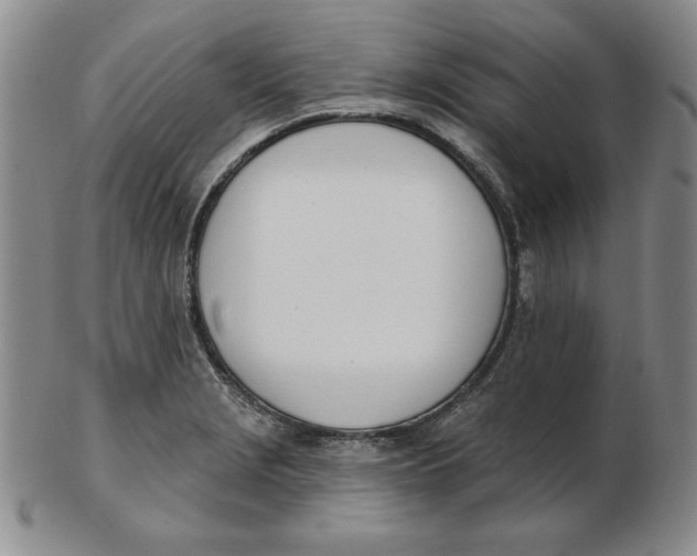 X0000102871229200809081158