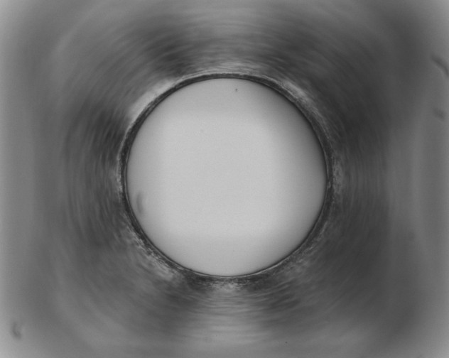 X0000102871230200809081158