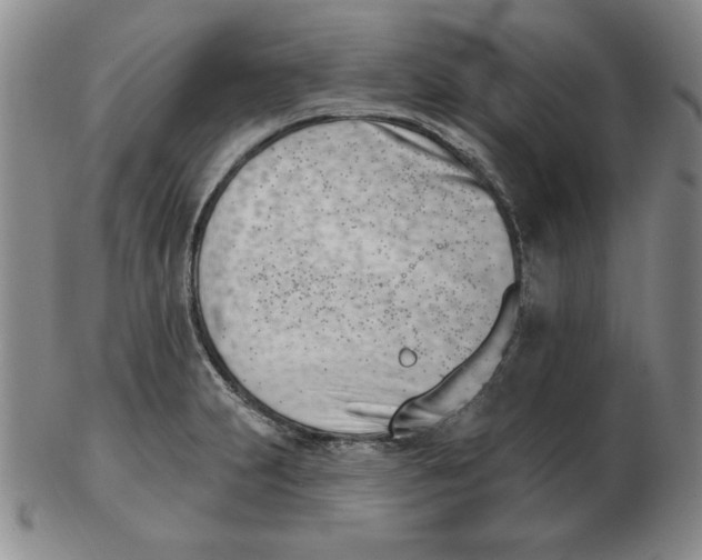 X0000102871231200809081158