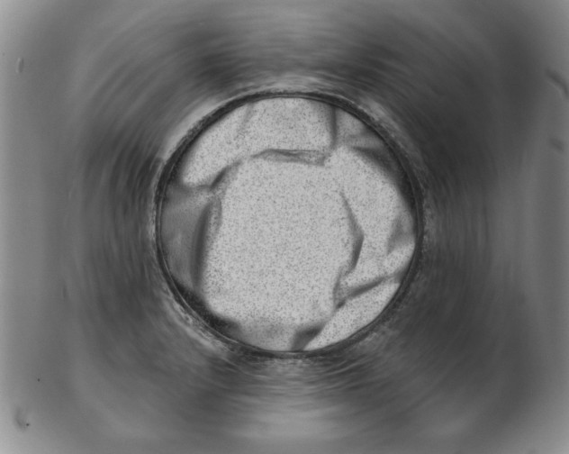 X0000102871232200809081158