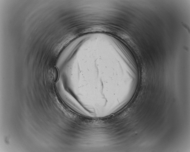 X0000102871233200809081158