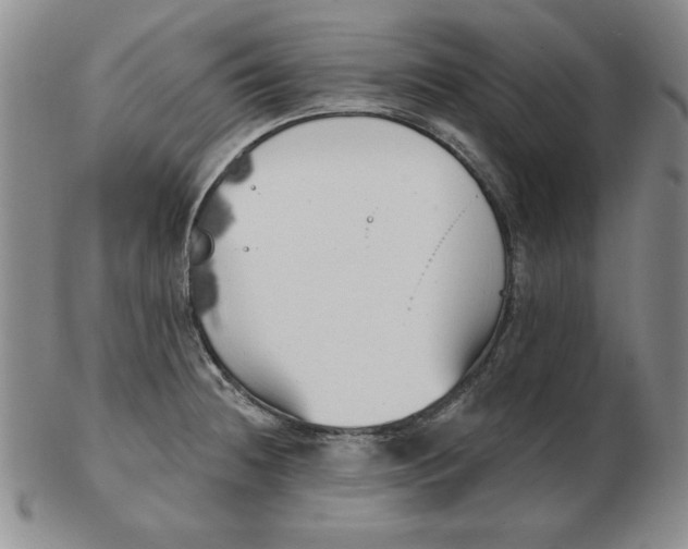 X0000102871236200809081158