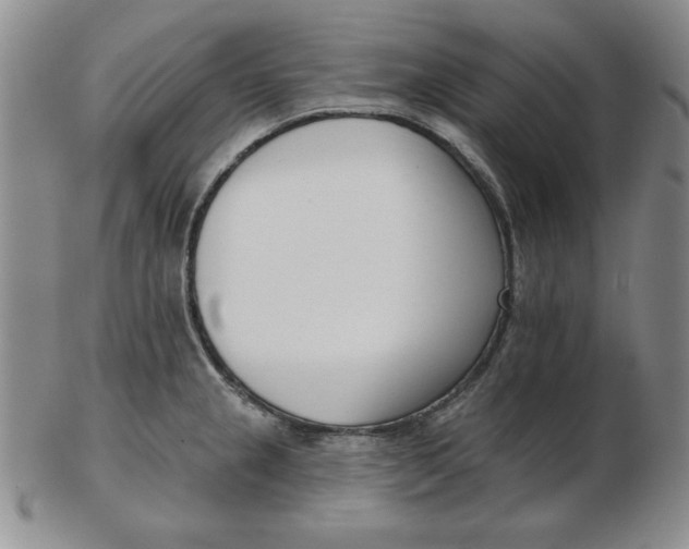 X0000102871237200809081158