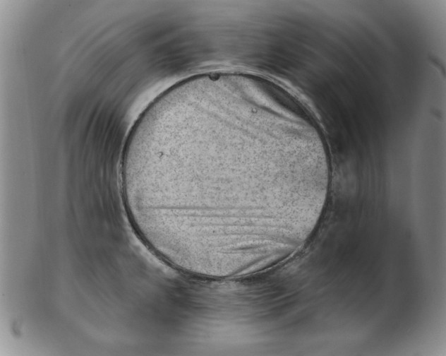 X0000102871239200809081158