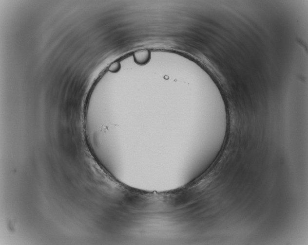 X0000102871240200809081158