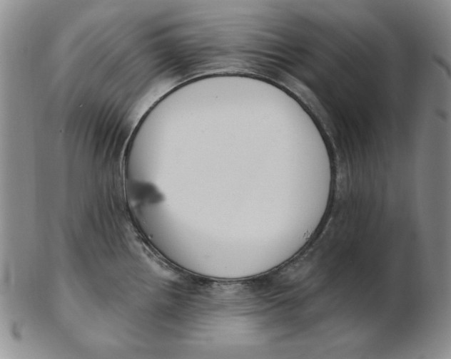 X0000102871242200809081158