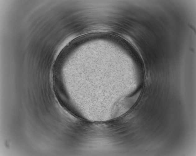 X0000102871243200809081158